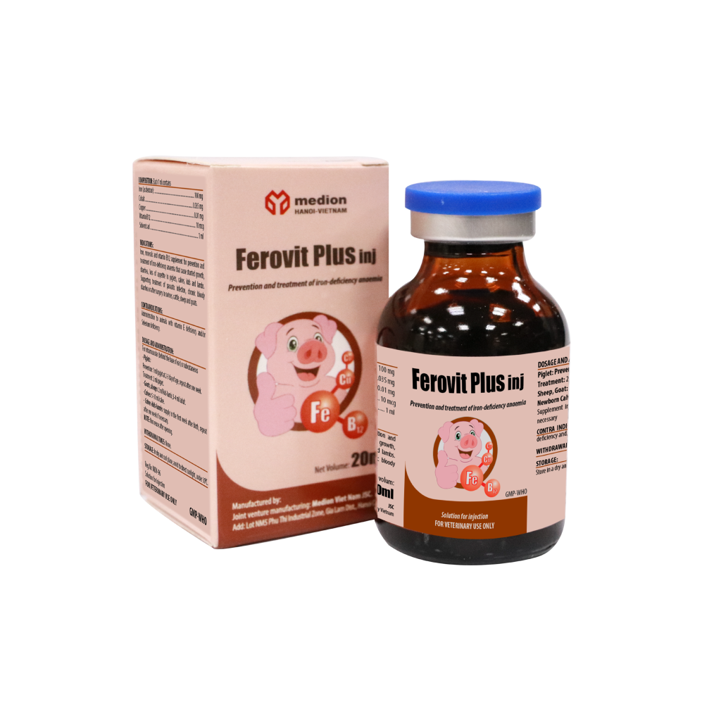 FEROVIT PLUS INJ - Medion Vietnam JSC